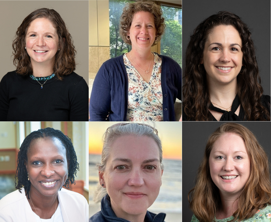 C. Bragdon, C. Donis, C. Greely, M. Kirwin, T. Stoudt, and J. Sullivan