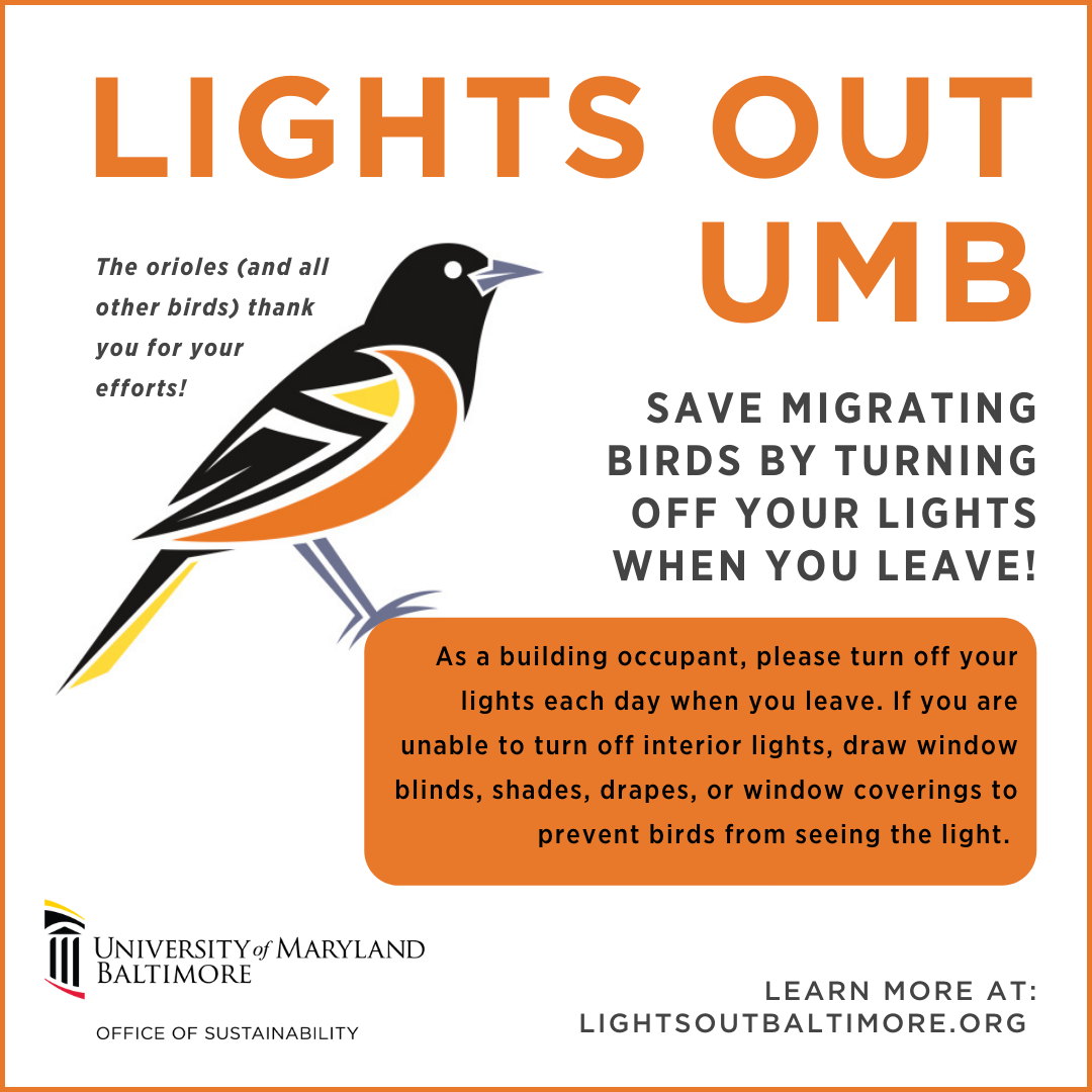 Lights Out UMB informational graphic