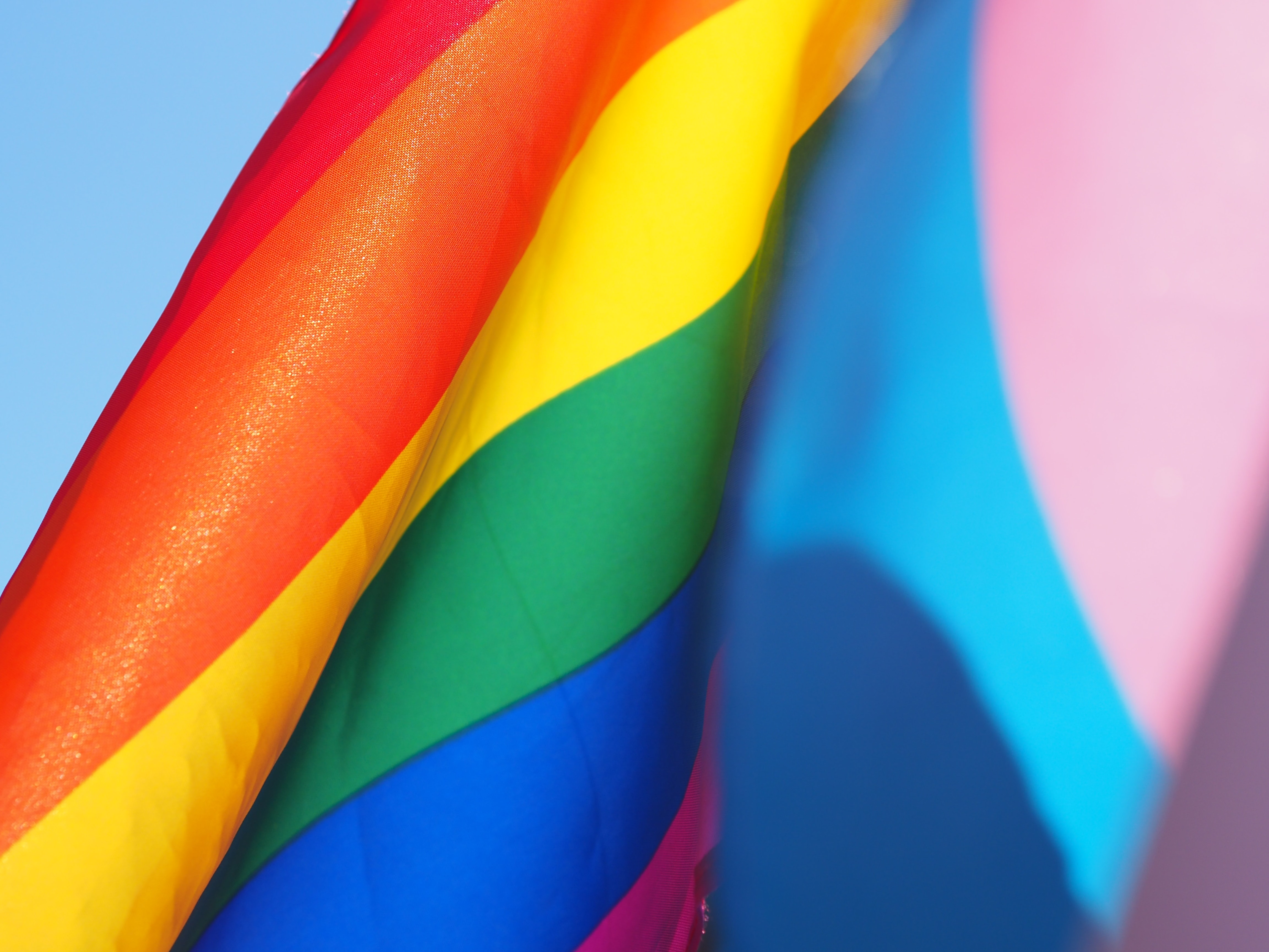 A flag with the colors of the rainbow represents LGBTQ+ pride. Next to it is the blue and pink flag of the Trans+ community.