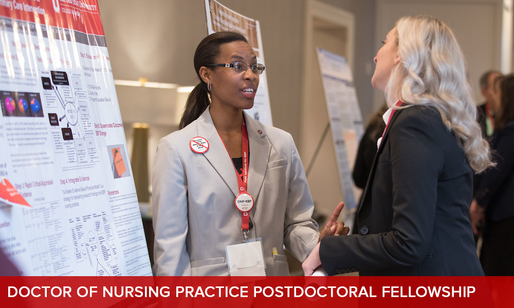 Two DNPs conversing at a poster session