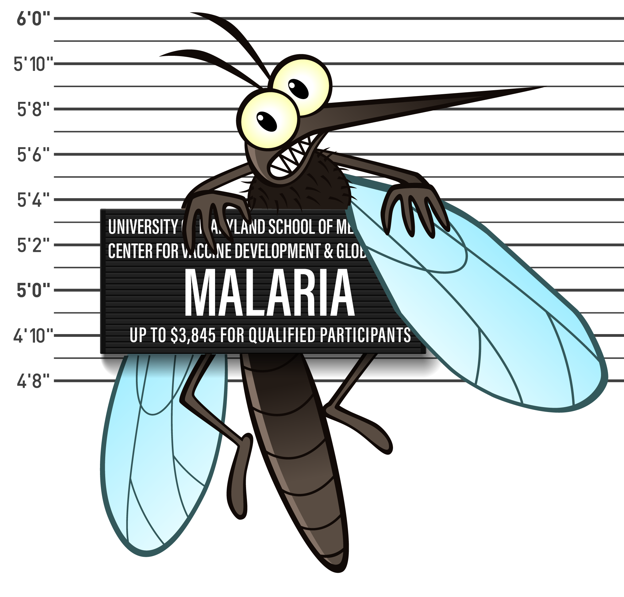 Illustration of mosquito arrest photo