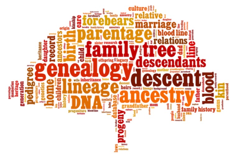 UMSON Presents Discovering Your Roots: Through Genealogy and