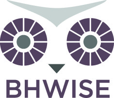 BHWISE Fellows
