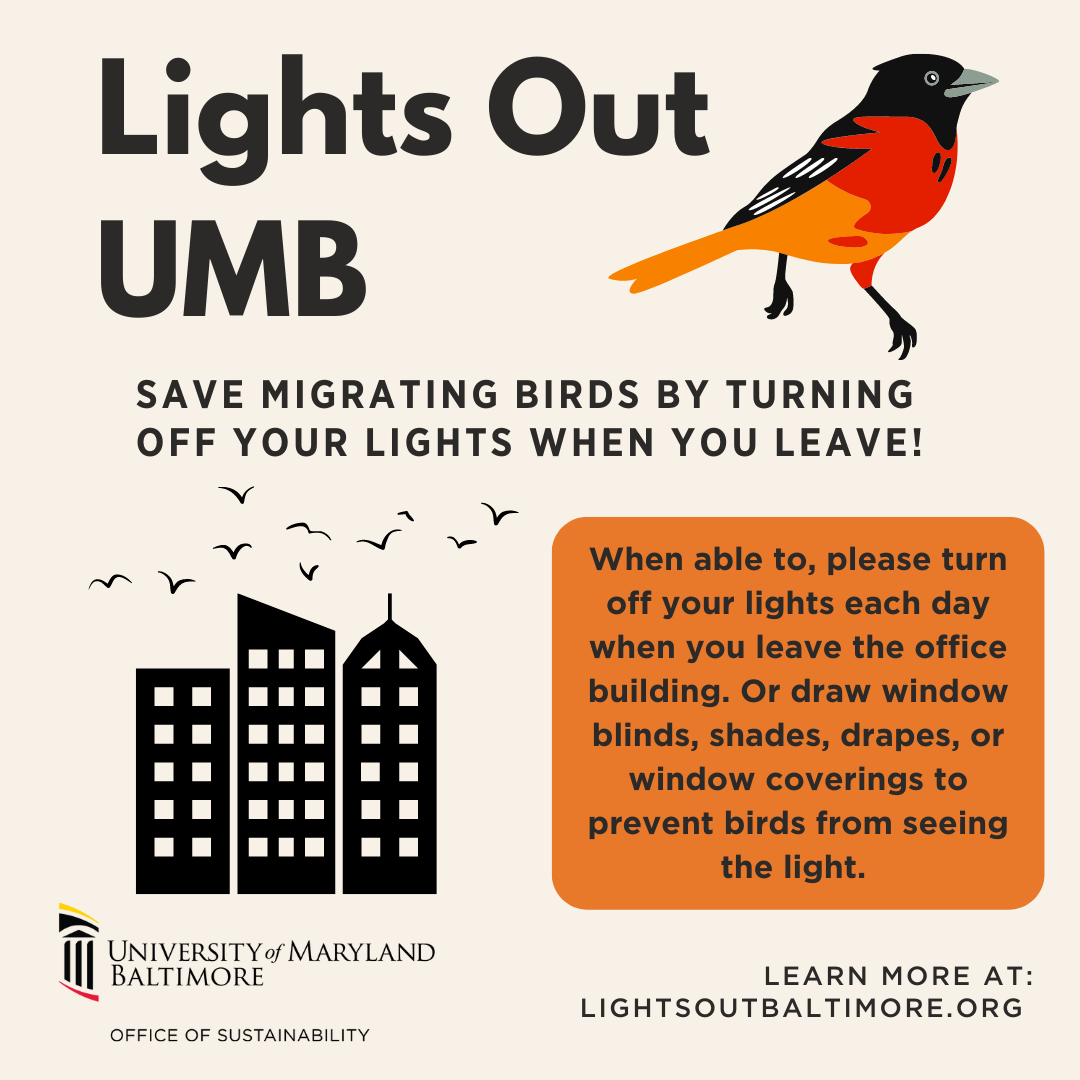 Lights Out UMB image of bird and city landscape informs individuals of dangers of artifical light to migratory birds at nighttime.