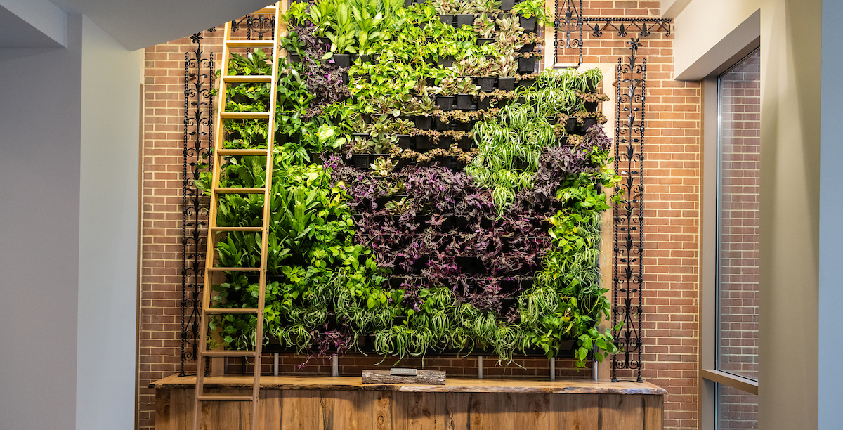 green and purple plants make up a living green wall