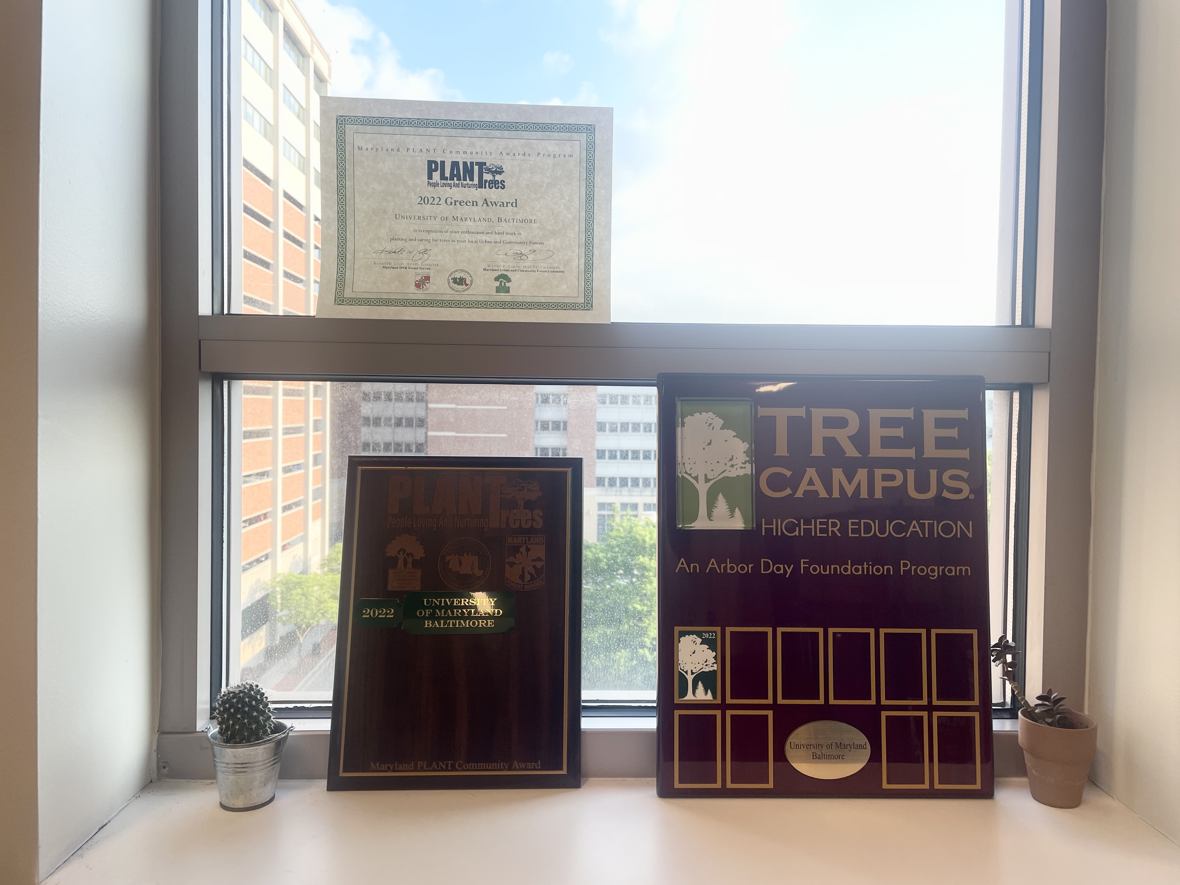 Image depicts three award plaques resting against a sunny window. There are two 2022 Tree Campus Higher Education recognitions and one 2022 Green PLANT Award.