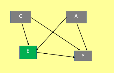 Acyclic Graphs (DAGs)