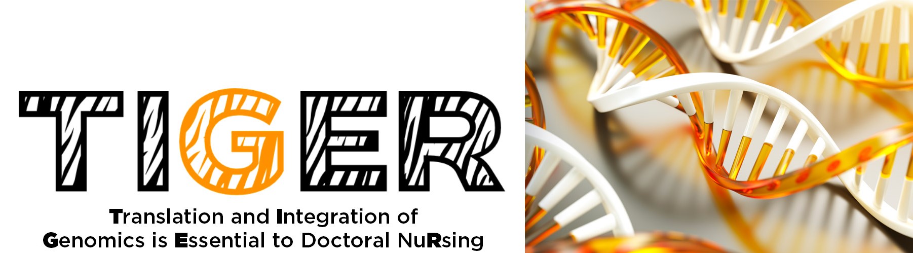 TIGER: Translation and Integration of Genomics is Essential to Doctoral Nursing with image of DNA strand