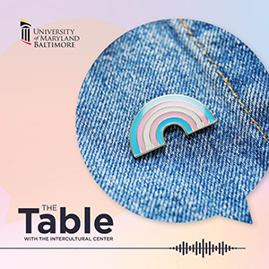 speech bubble containing a close-up photo of denim jacket with a rainbow pin made of the transgender flag