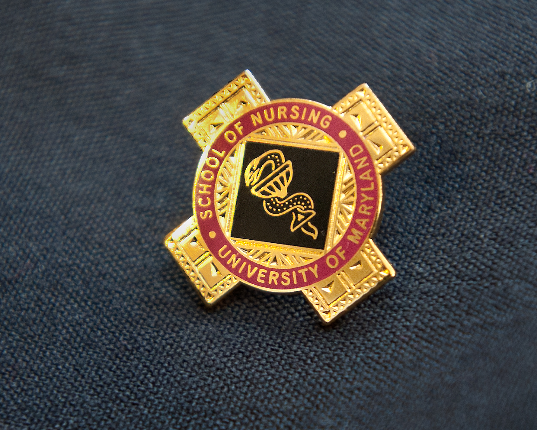 photo of the UMSON alumni pin