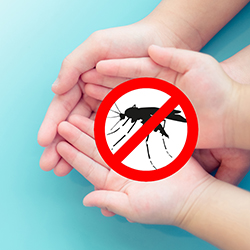 hands holding anti mosquito graphic