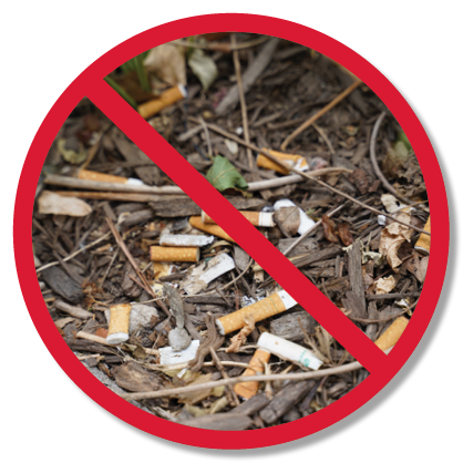 Cigarette butts in mulch with a red 