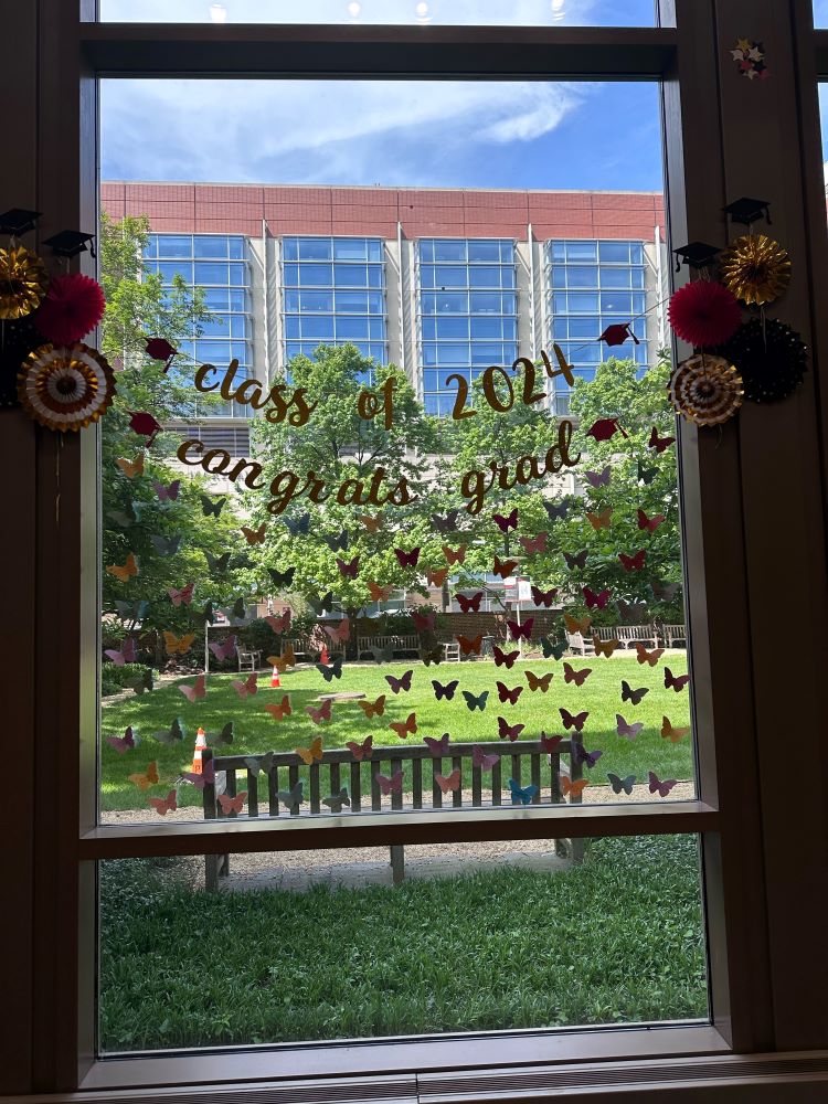 window with butterfly-shaped appliques all over it