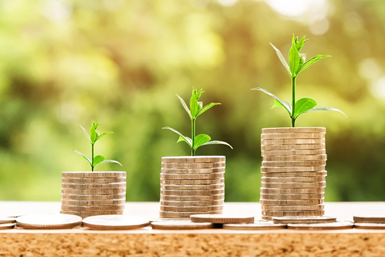 three stacks of coins of different levels with plants growing out of them