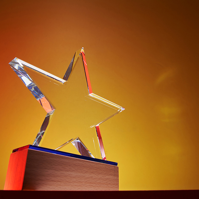 Star signifying an award