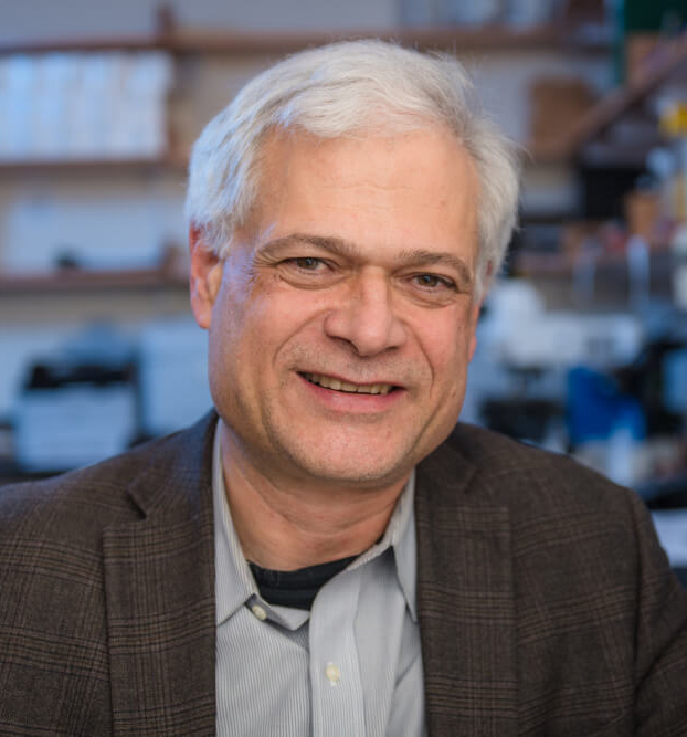 Keynote Speaker: Alan D. D’Andrea, MD, Director, Center for DNA Damage and Repair Director, Susan F. Smith Center for Women's Cancers Dana-Farber Cancer Institute