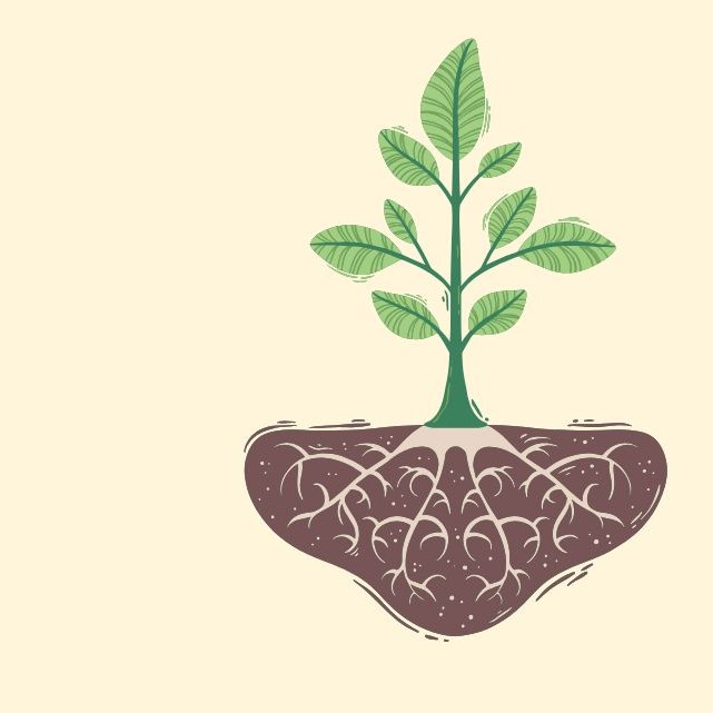 Illustration of a green plant with brown roots