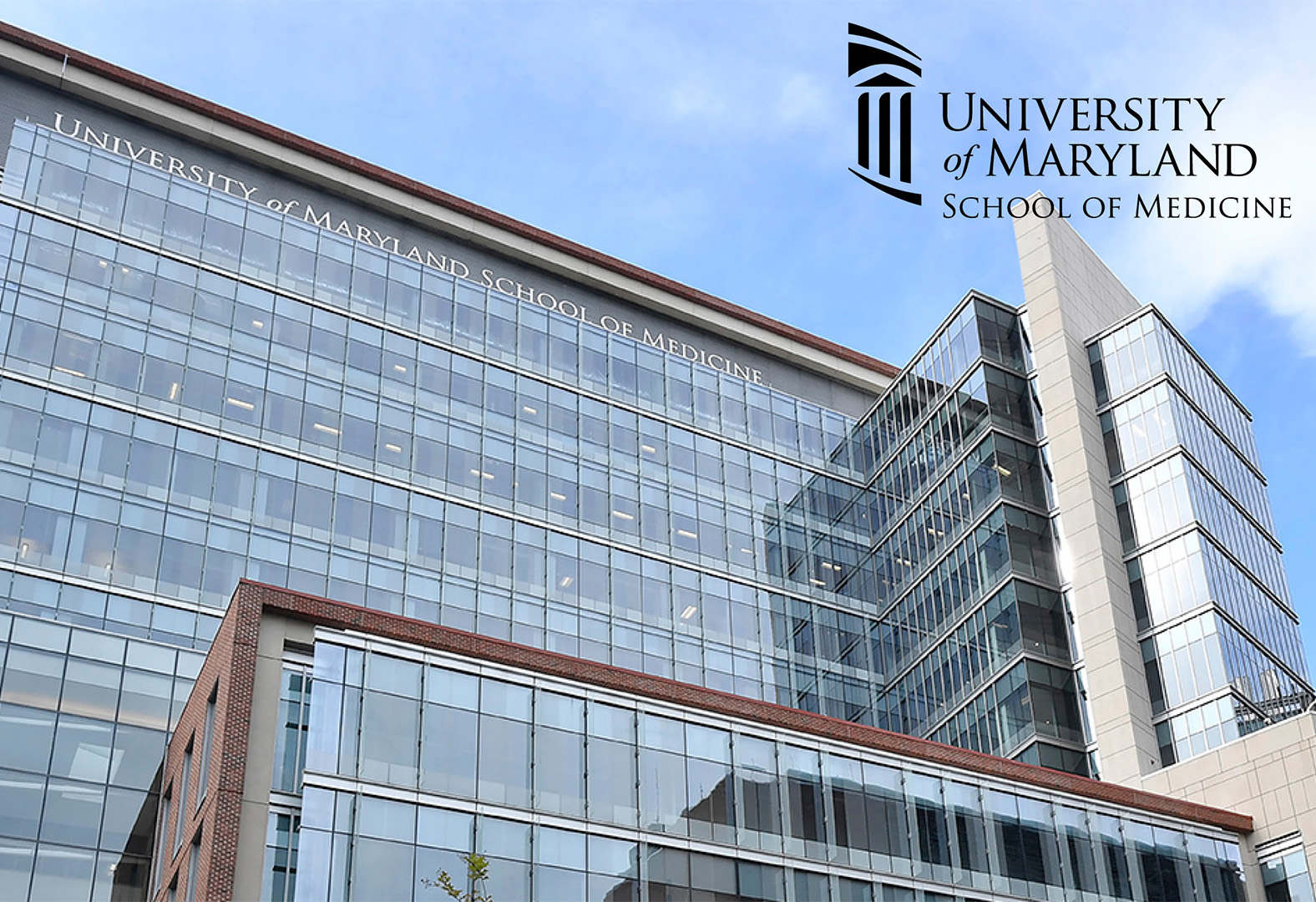School of Medicine