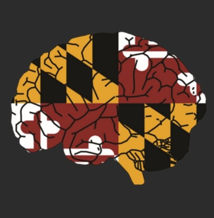 brain in colors of Maryland flag