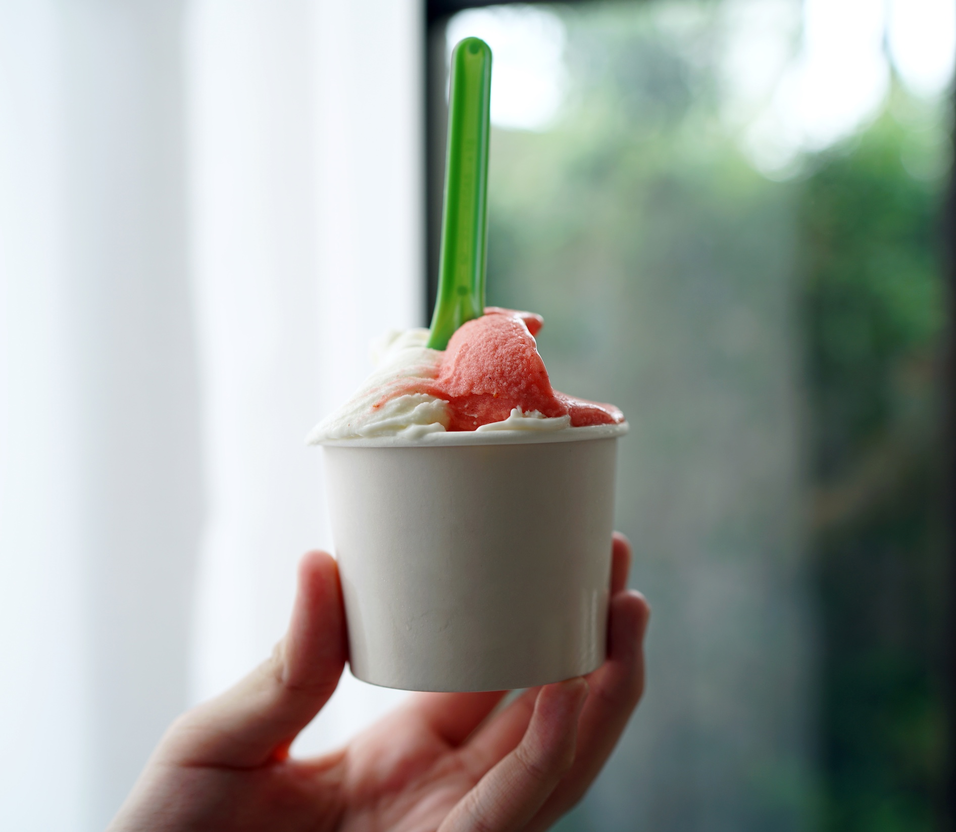 hand holding an ice cream cup with a green spoon