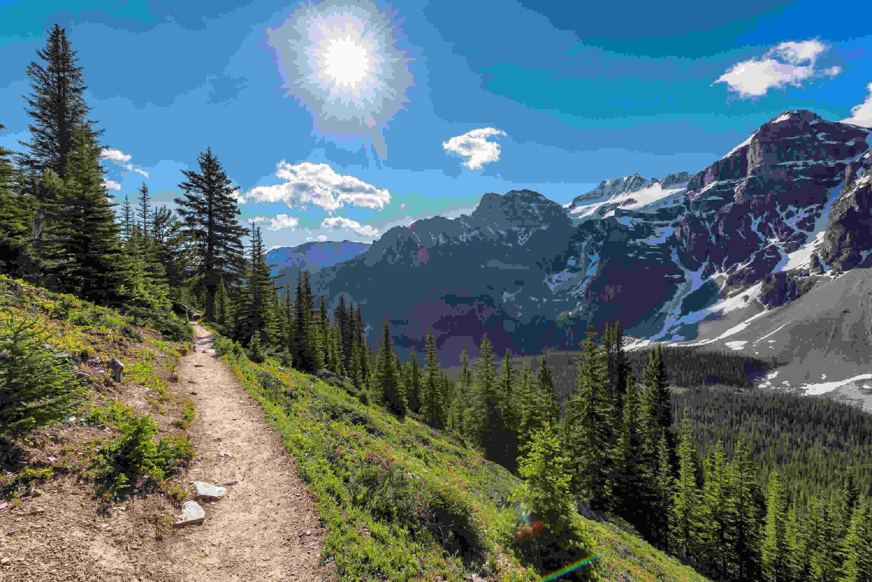 Hiking path