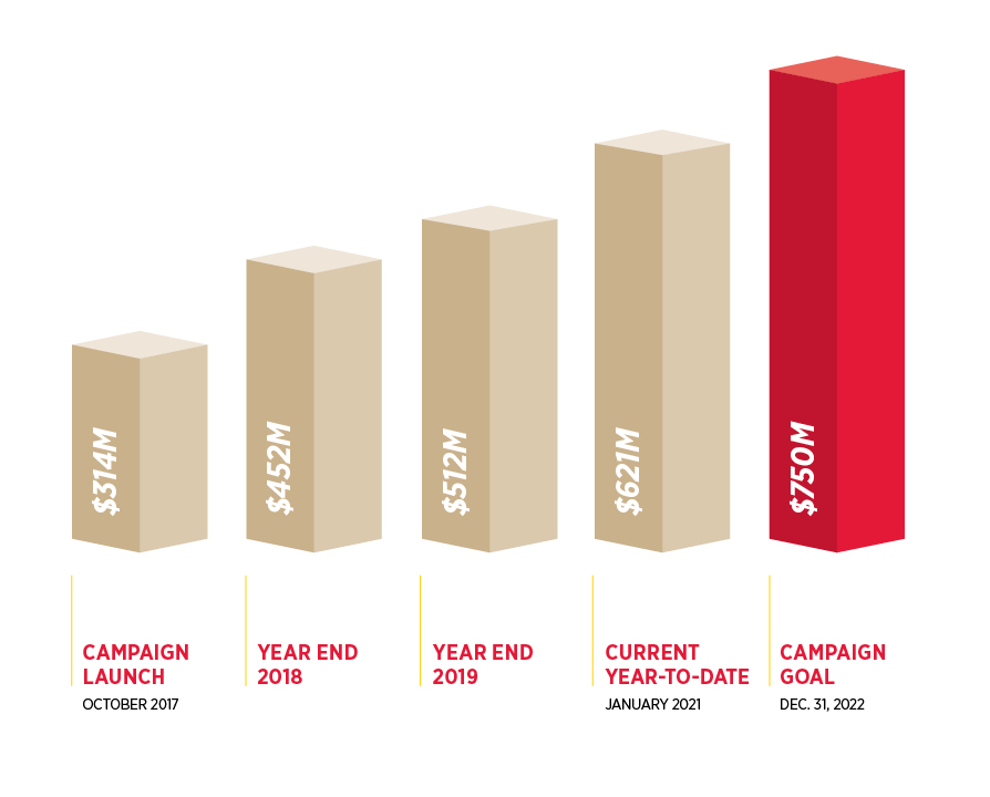 Catalyst Campaign graph showing campaign milestone achievements