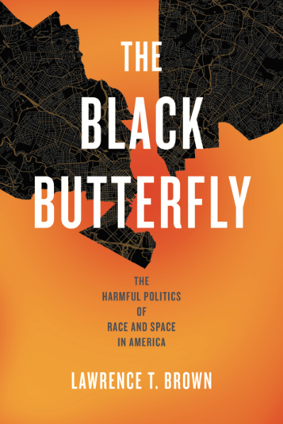 The Black Butterfly book cover