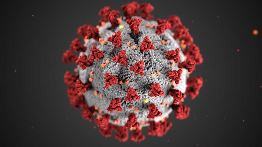 SARS-CoV2 virus