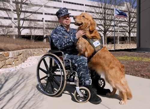 soldier with dog