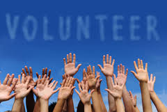 raised hands of volunteers