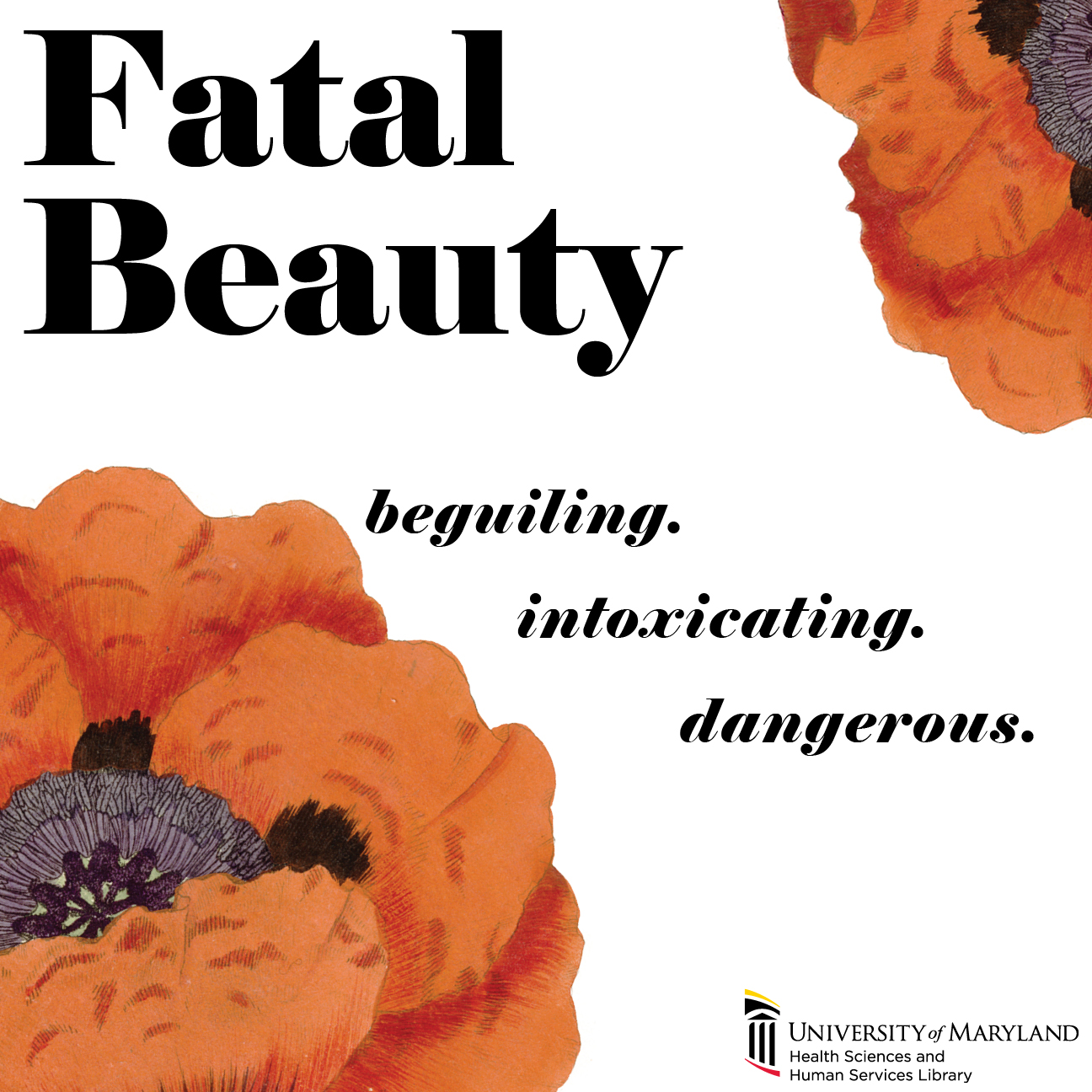 Fatal Beauty Exhibit