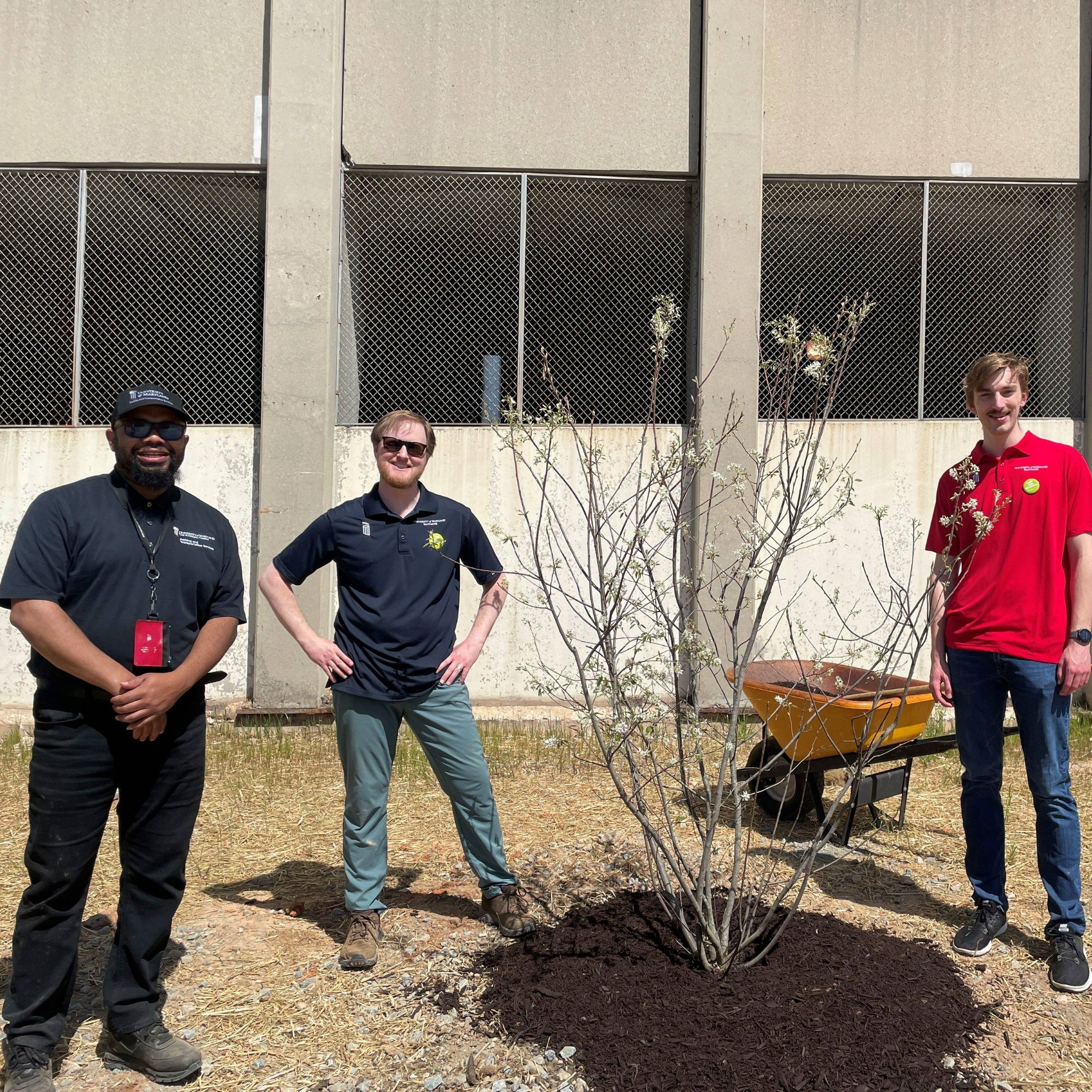 Rodney Harris, Mark Drymala, and Alex Skowron pose next to the newly planted serviceberry tree on the south side of Pratt Street Garage.