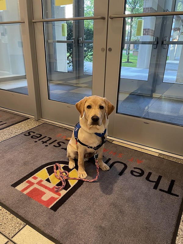 Heath sitting on a floor mat with USG branding, wearing WCC SDIT vest