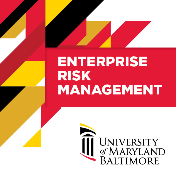 Enterprise Risk Management main logo
