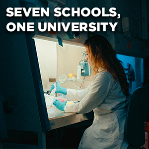 Seven schools, one university