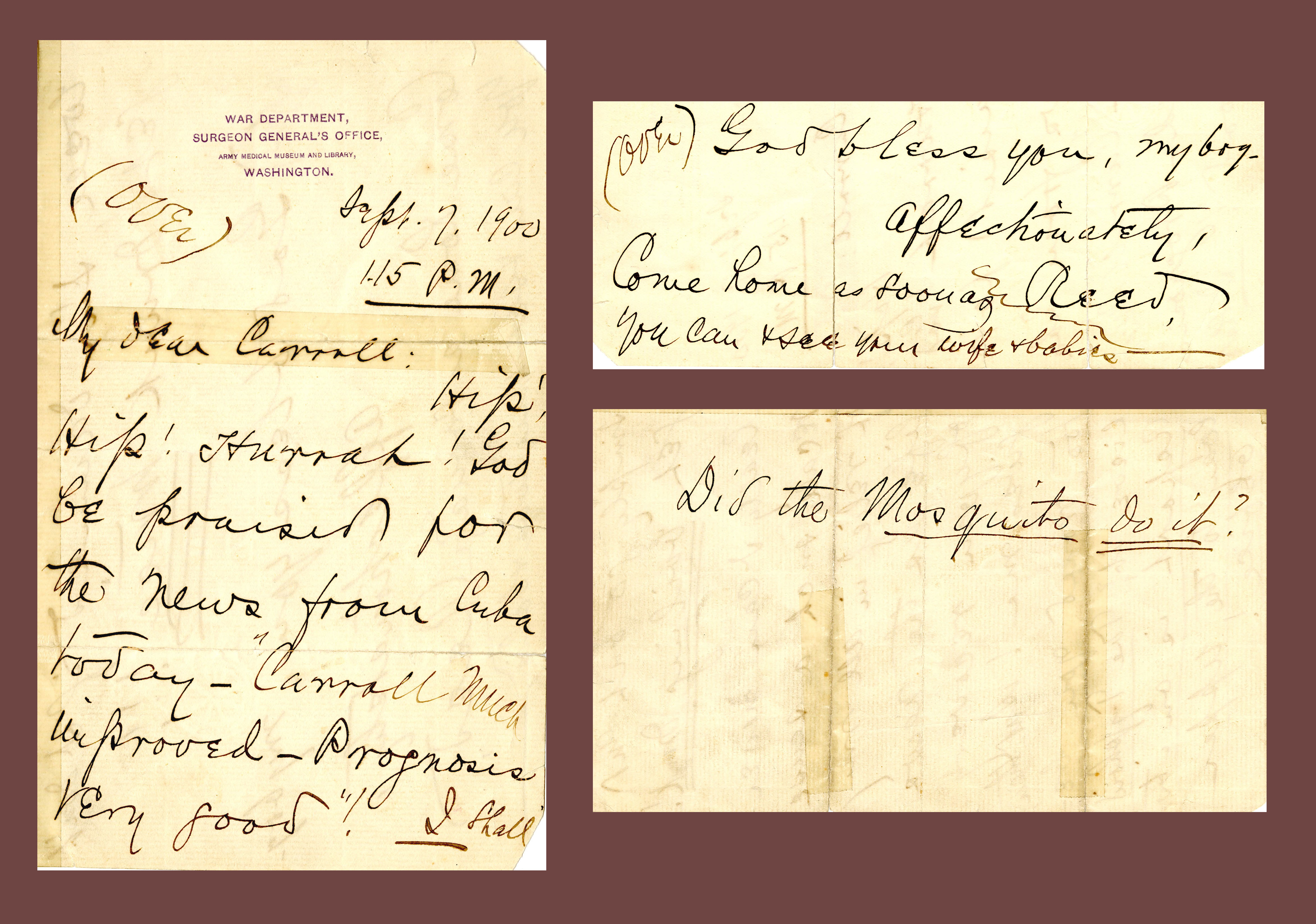 On Sept. 7, 1900, after hearing that Dr. James Carroll, an 1891 UMSOM graduate, was improving from yellow fever, Walter Reed wrote him asking, “Did the Mosquito do it?”