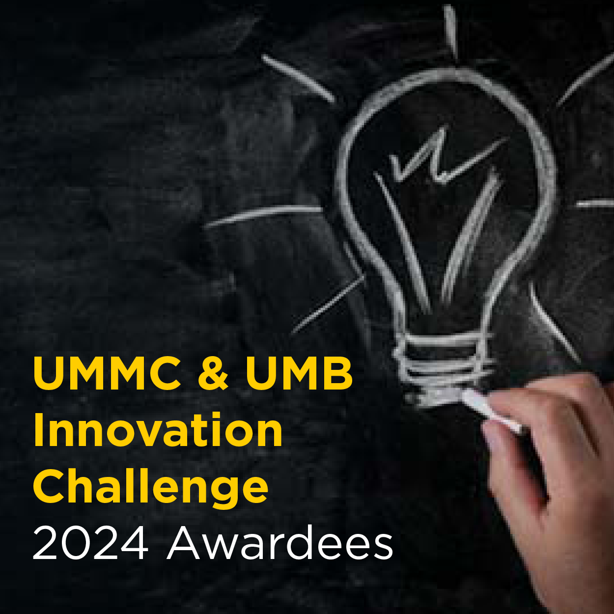 UMMC & UMB Innovation Challenge 2024 Awardees