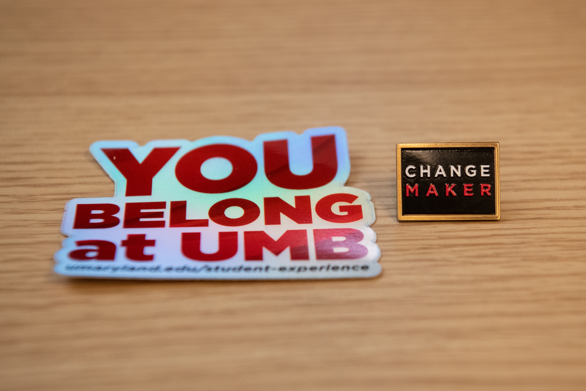 You Belong at UMB sticker and Change Maker pin 