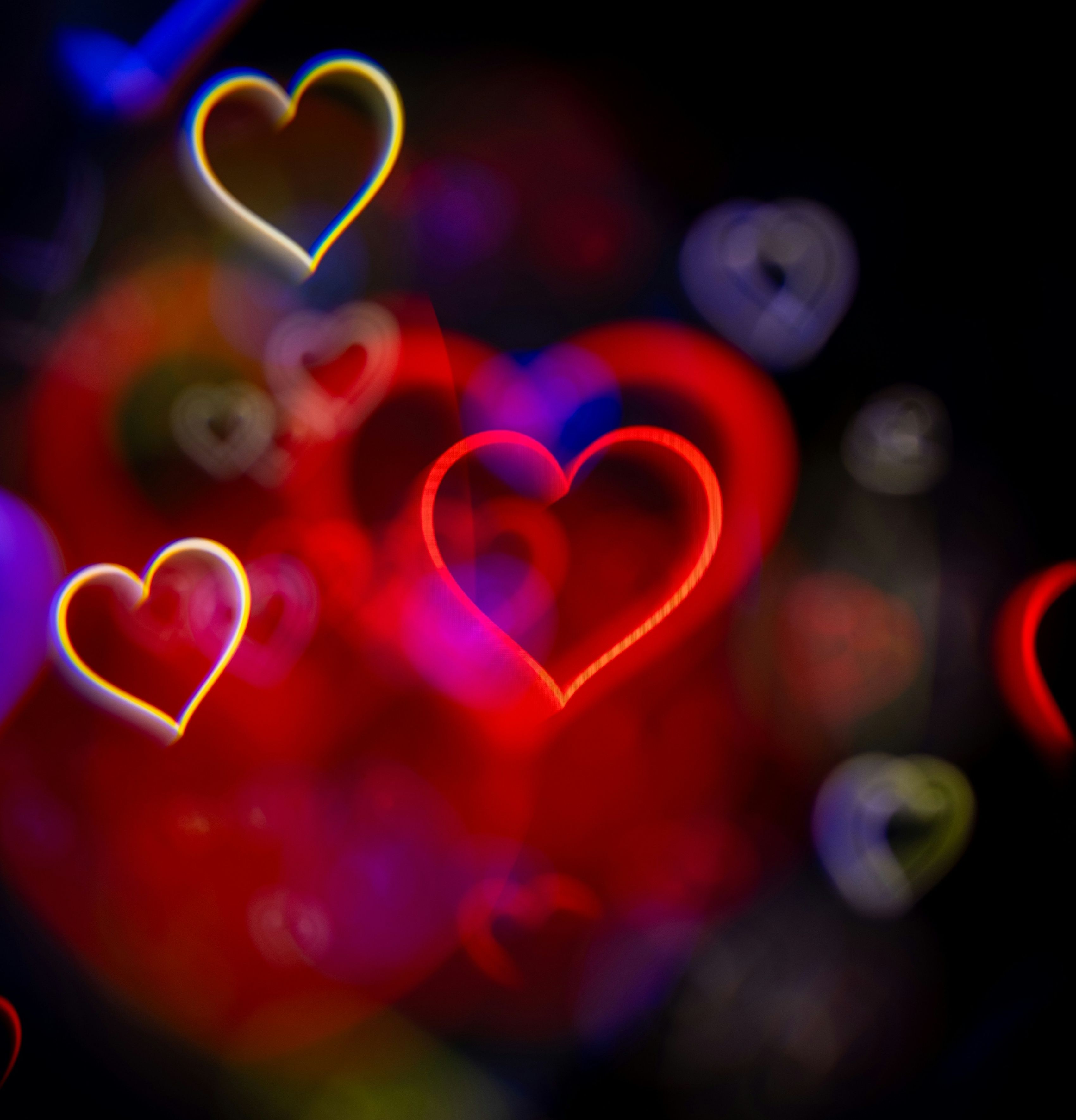 A group of hearts in different colors