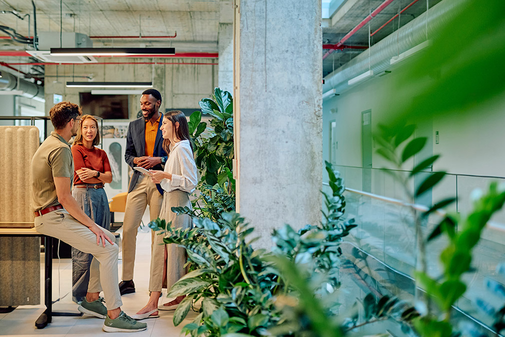 Group of adults standing around in an office talking to one another