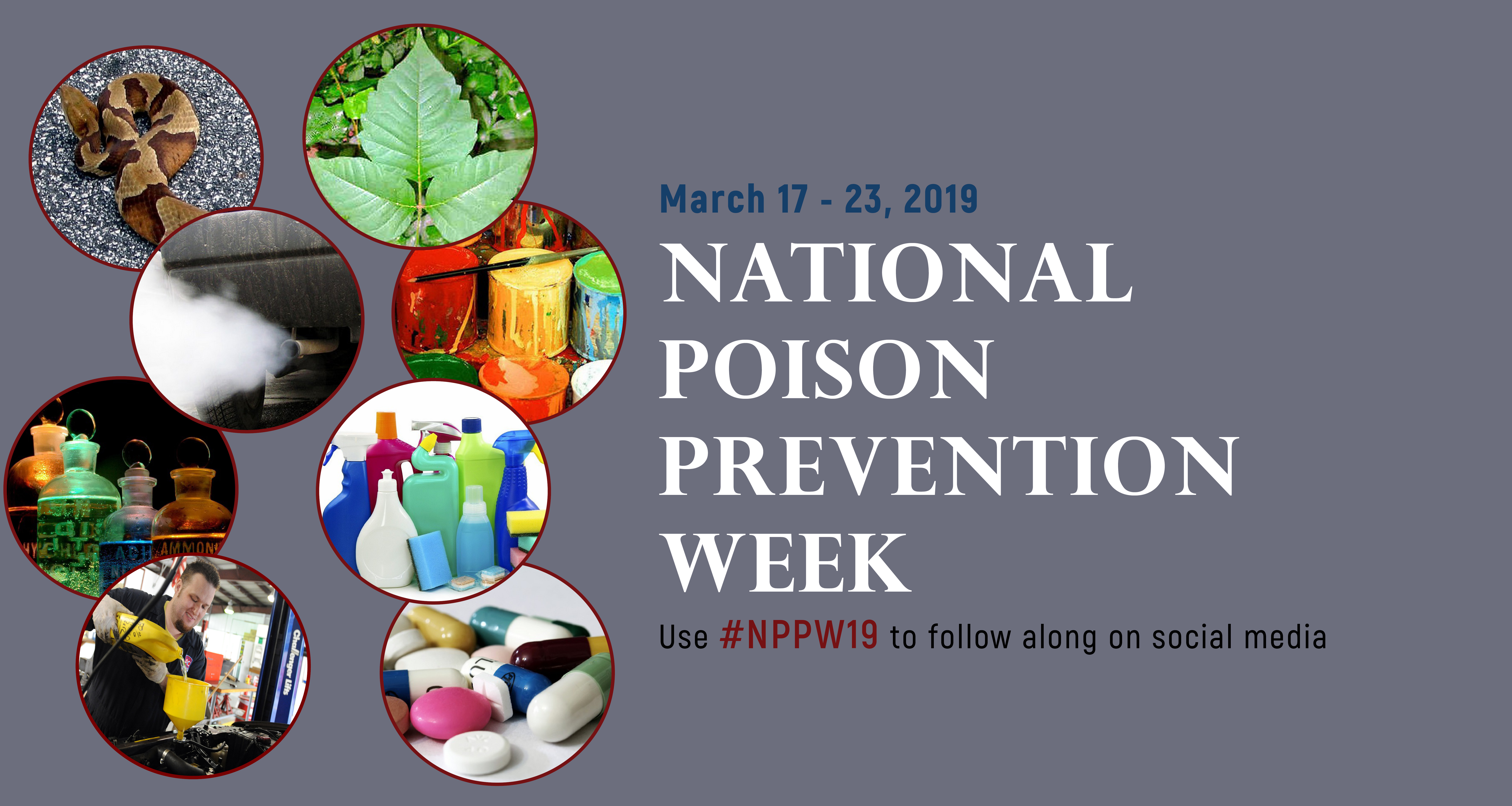 Collage of common household poison hazards set against blue-gray background with National Poison Prevention Week dates beside it.
