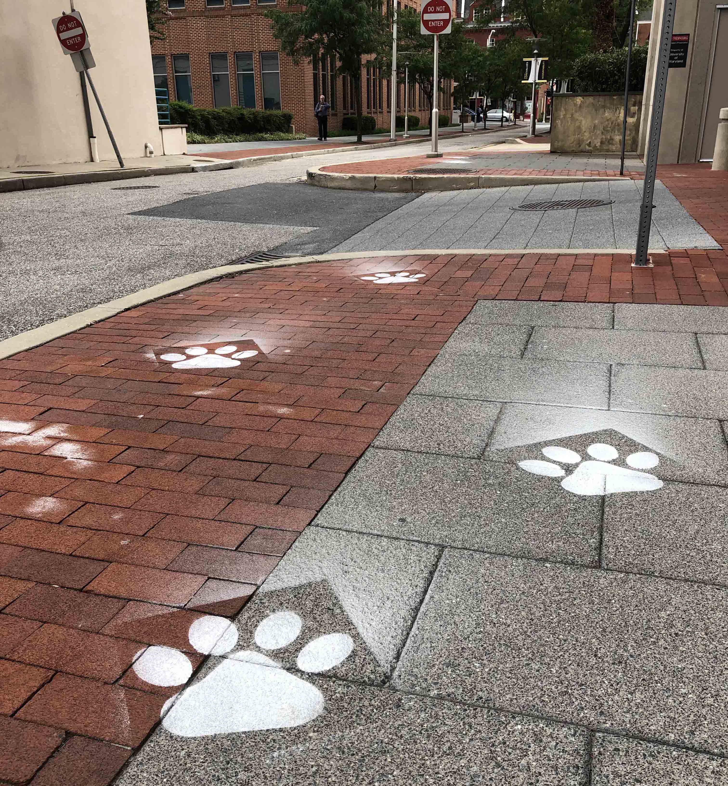 Paw prints