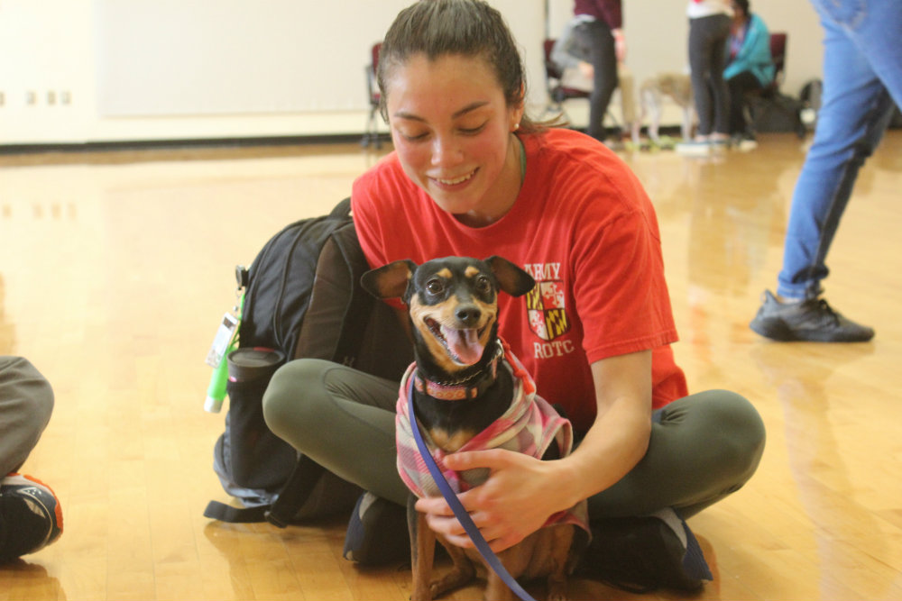 Student holding a happy dog.