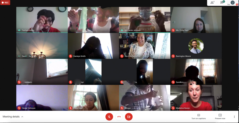 CURE scholars on virtual conference