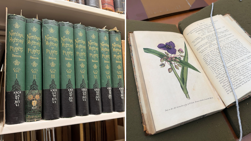 green botanicals books