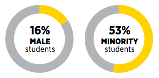 Graphs showing 49% minority students and 13% male students